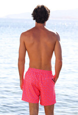 Kulani Kinis Men's Swim Trunks