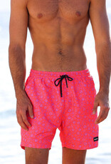 Kulani Kinis Men's Swim Trunks
