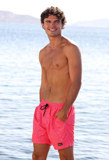 Kulani Kinis Men's Swim Trunks