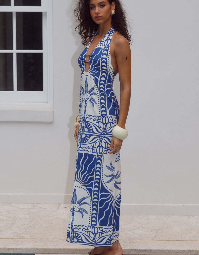 Joanna Plunge Halter Maxi Dress