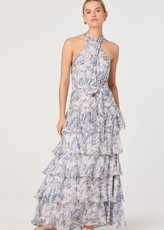 ASTR Adamaris Maxi Dress