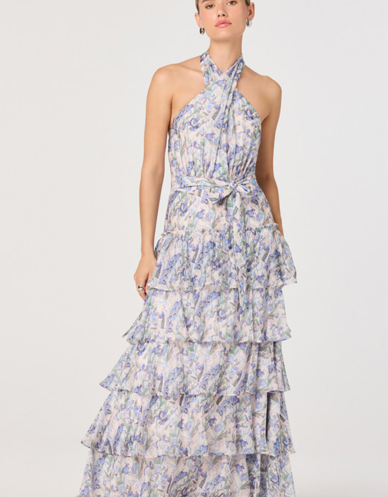 ASTR Adamaris Maxi Dress