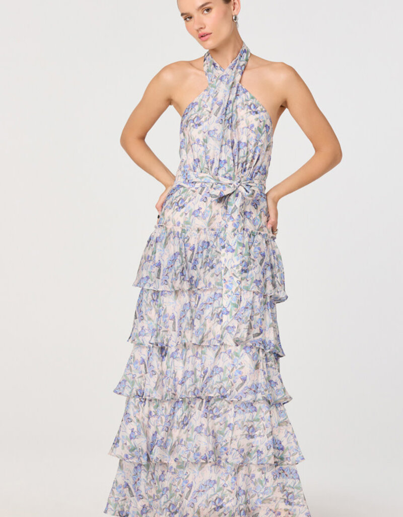 ASTR Adamaris Maxi Dress