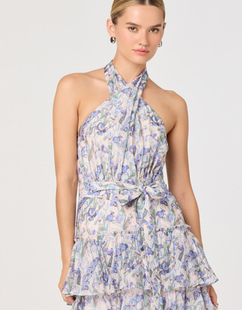 ASTR Adamaris Maxi Dress