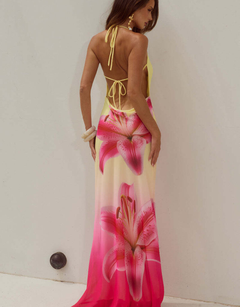 Juliana Cowl High Slit Maxi Dress