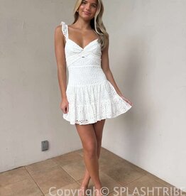 Bree Lace Tie Back Mini Dress