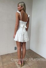 Bree Lace Tie Back Mini Dress