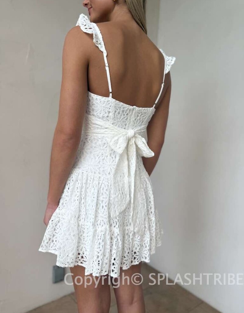 Bree Lace Tie Back Mini Dress