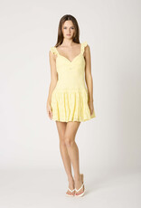 Bree Lace Tie Back Mini Dress