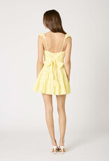 Bree Lace Tie Back Mini Dress