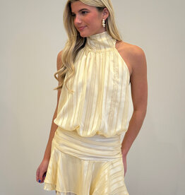 Striped Tonal Chiffon Halter Open Back Mini Dress