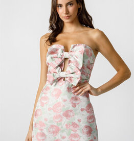 Strapless Double Bow Front Floral Mini Dress