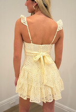 Bree Lace Tie Back Mini Dress