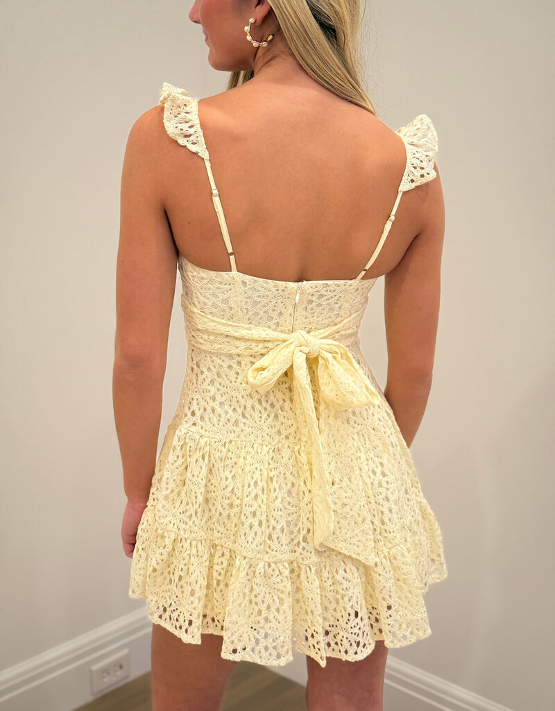 Bree Lace Tie Back Mini Dress