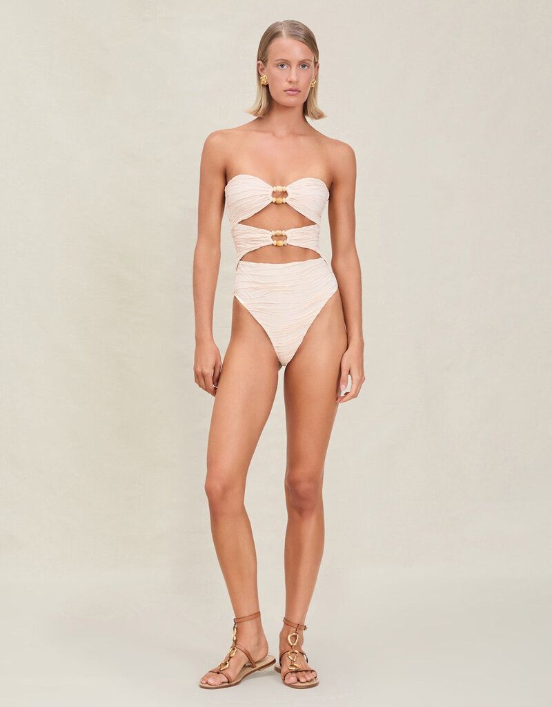 Devon Windsor Amii Full Piece Swimsuit