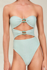 Devon Windsor Amii Full Piece Swimsuit