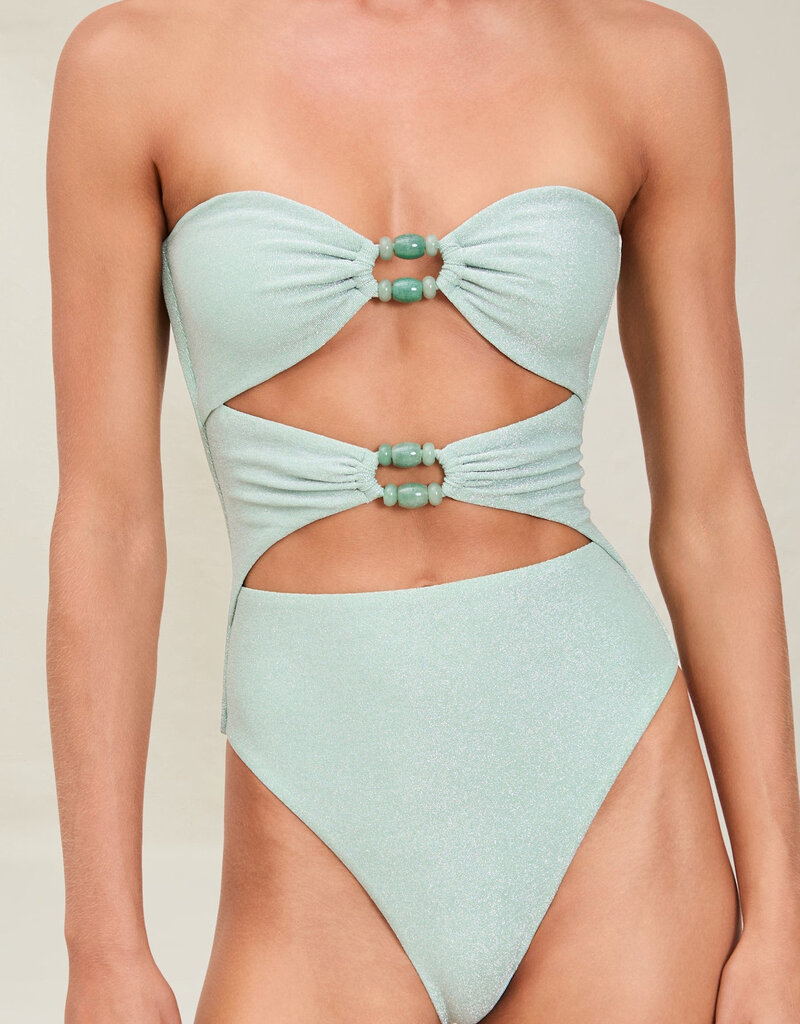 Devon Windsor Amii Full Piece Swimsuit