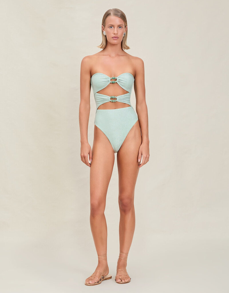 Devon Windsor Amii Full Piece Swimsuit