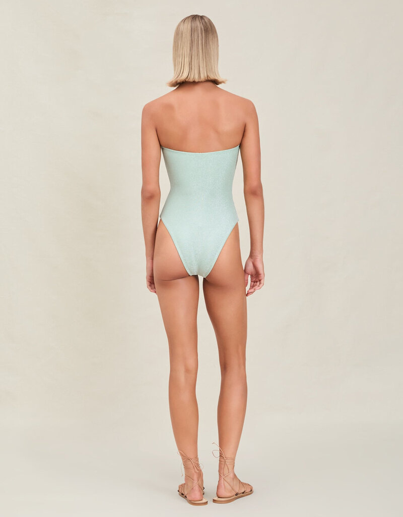 Devon Windsor Amii Full Piece Swimsuit