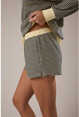 Mid Rise Stripe Shorts