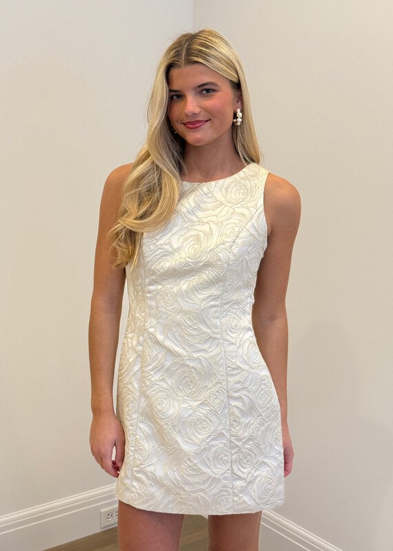 Floral Jacquard Open Bow Back Mini Dress