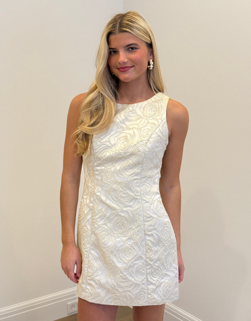 Floral Jacquard Open Bow Back Mini Dress