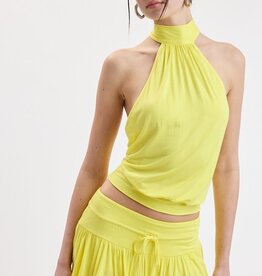 Valerie Mock Neck Halter Backless Crop Top