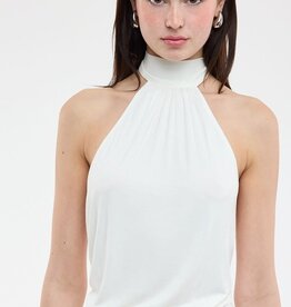 Valerie Mock Neck Halter Backless Crop Top