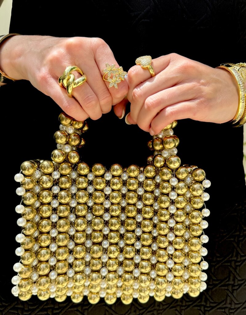 Taylor Metallic Beaded Bag
