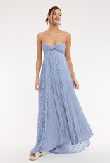 Clip Dot Accordian Ruffle Tube Maxi Dress