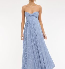 Clip Dot Accordian Ruffle Tube Maxi Dress
