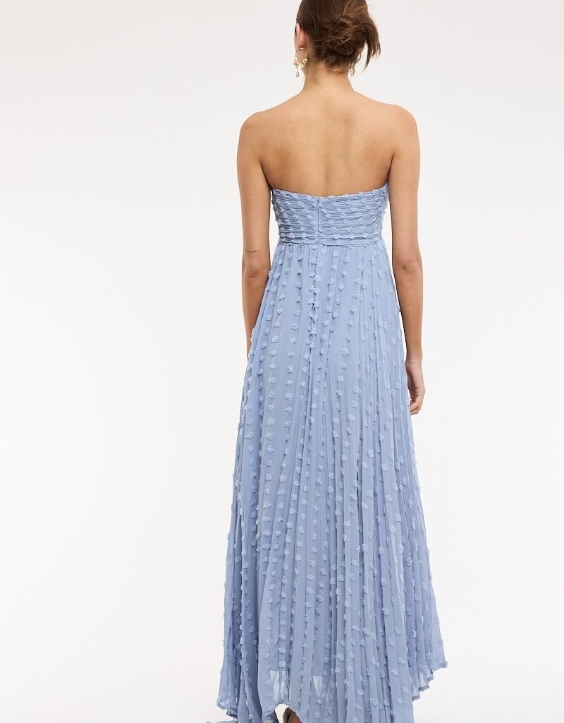 Clip Dot Accordian Ruffle Tube Maxi Dress
