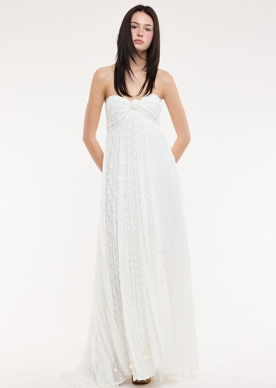 Clip Dot Accordian Ruffle Tube Maxi Dress