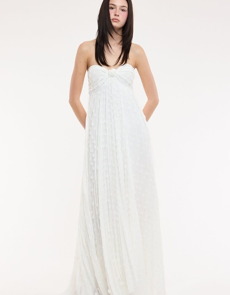 Clip Dot Accordian Ruffle Tube Maxi Dress