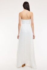 Clip Dot Accordian Ruffle Tube Maxi Dress