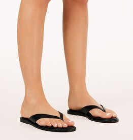 Billini Zenobia Thong Strap Flat Sandal
