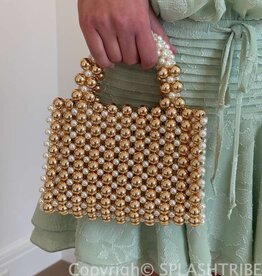 Taylor Metallic Beaded Bag