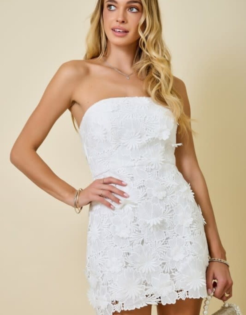 Strapless Flower Applique Lace Fitted Mini Dress