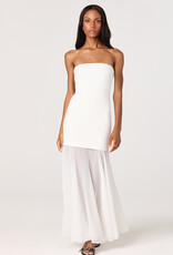 Lizet Strapless Maxi Dress