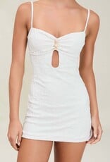 Devon Windsor Imani Mini Dress
