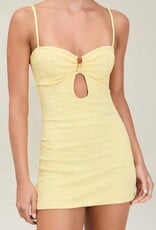 Devon Windsor Imani Mini Dress