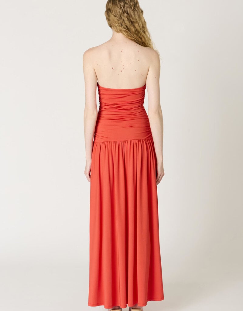 Santal Strapless Maxi Dress