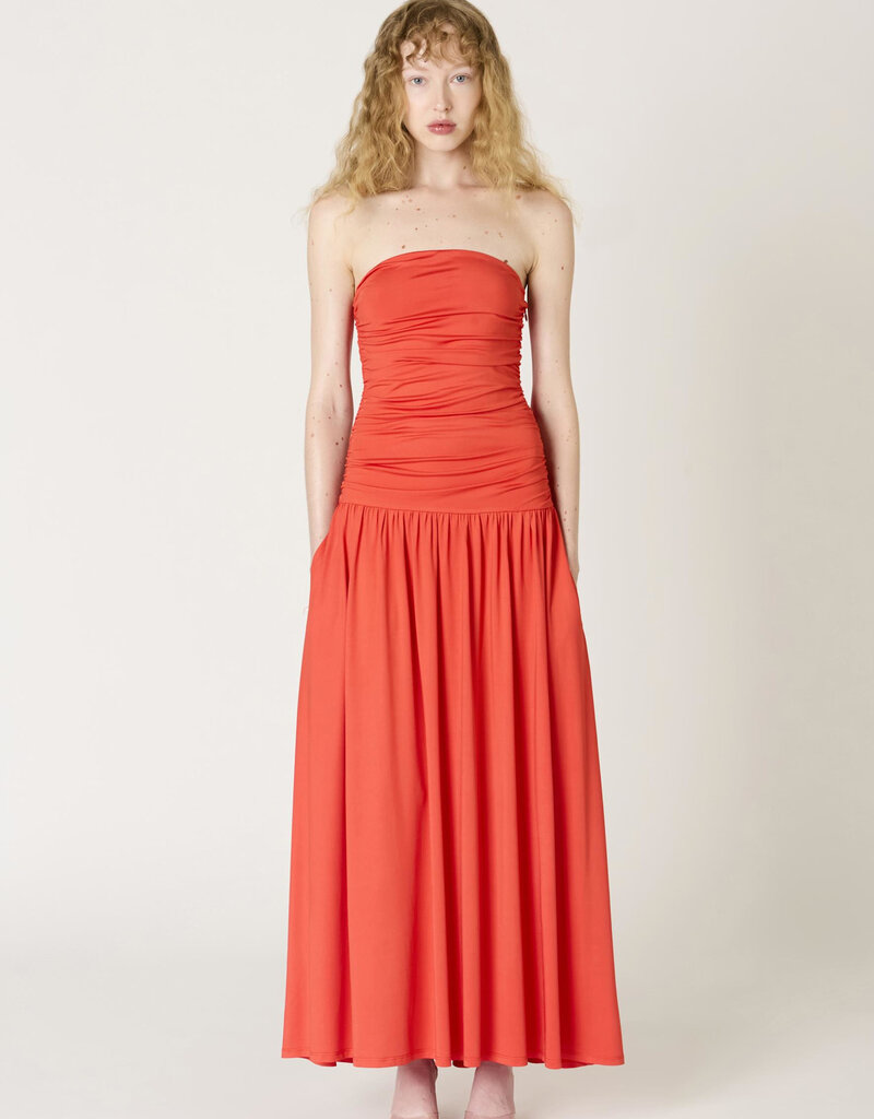 Santal Strapless Maxi Dress