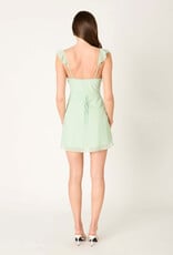 Isla Ruffle V Neck Mini Dress