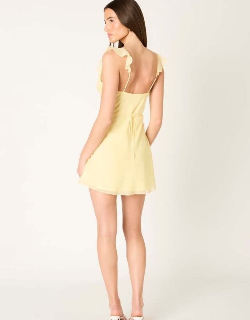Isla Ruffle V Neck Mini Dress