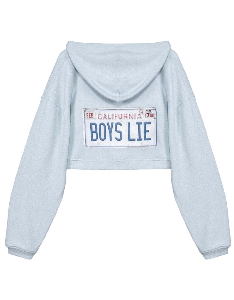 Boys Lie Driver's License Alex Zip Up Hoodie