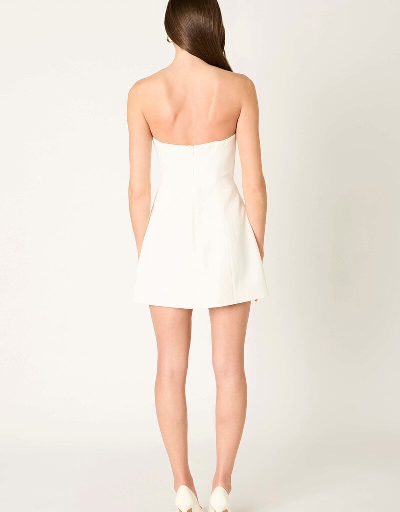 Poppy Strapless A Line Mini Dress