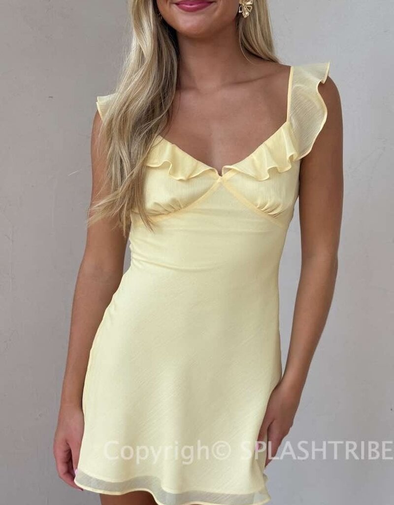 Isla Ruffle V Neck Mini Dress