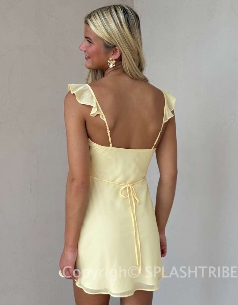 Isla Ruffle V Neck Mini Dress