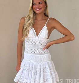Floral Embossed Lace Solid Mini Dress